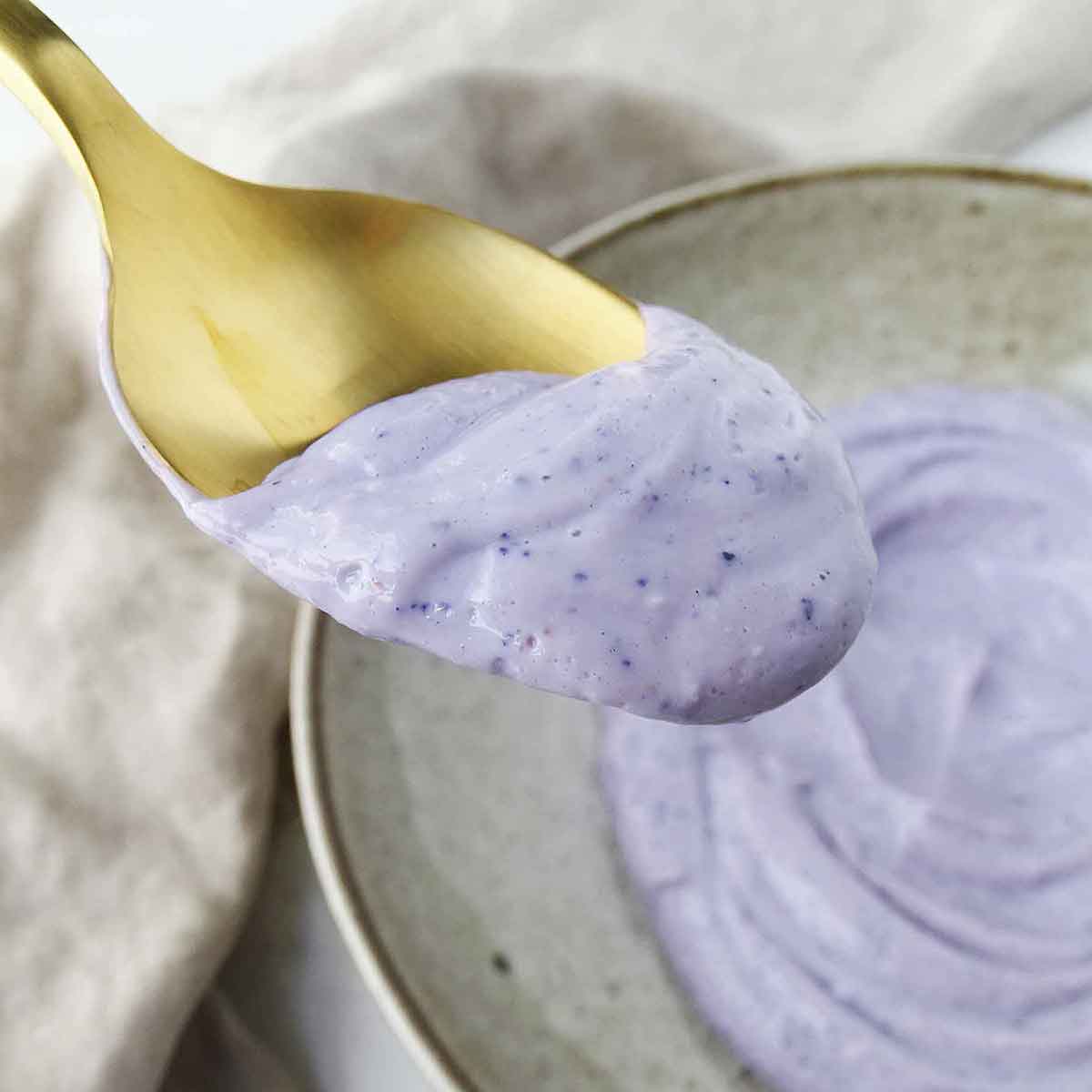 Homemade Lemon Blueberry Yogurt (Dairy and Sugar Free) Anti Candida