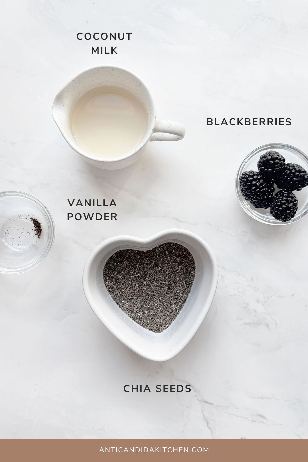 Coconut Blackberry Chia Pudding Ingredients