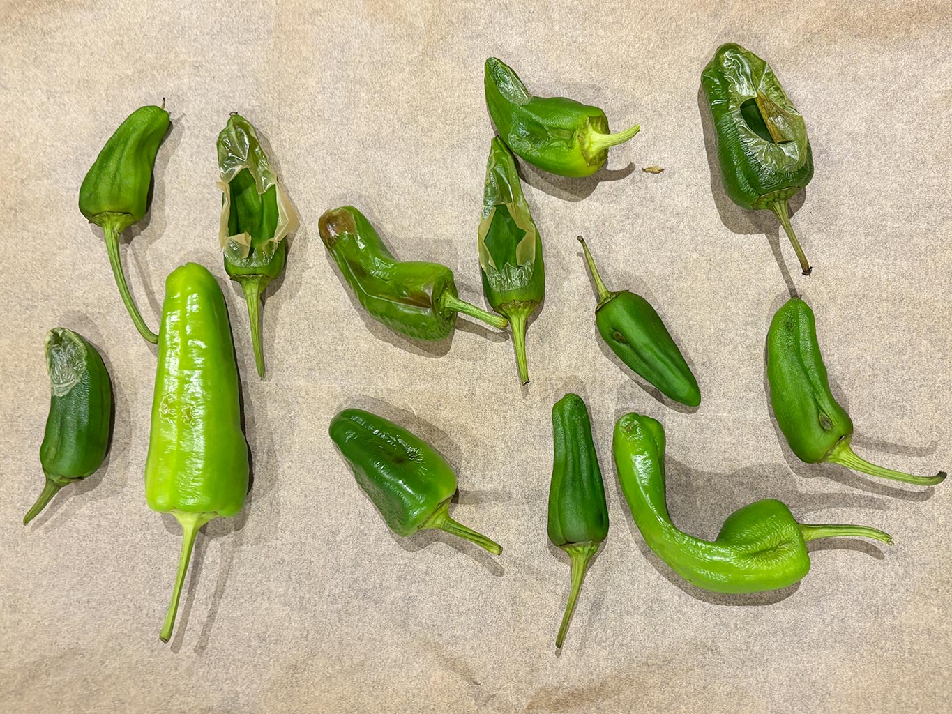 Half grilled padron peppers