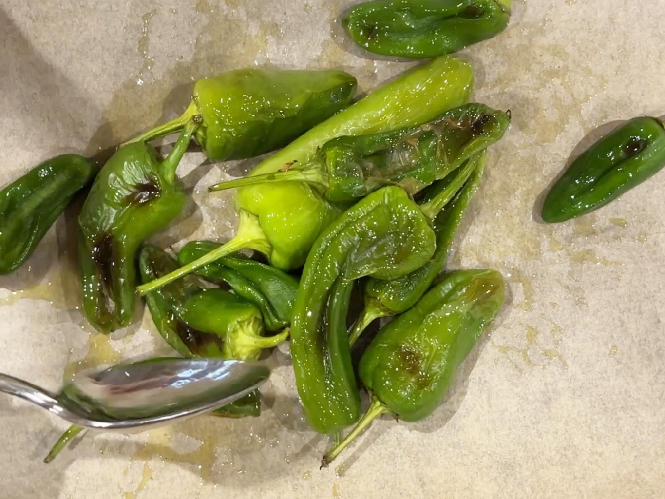 Grilled padron peppers tossed with extra virgin olive oil